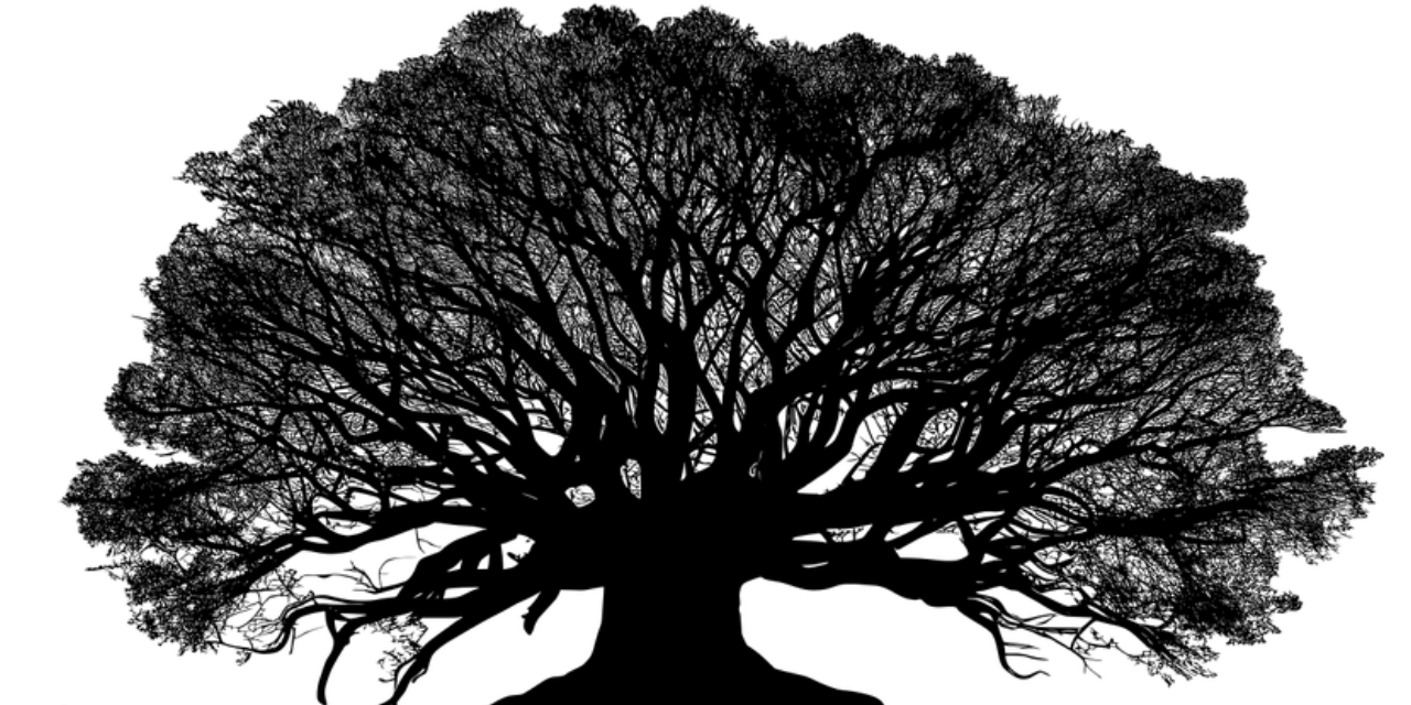 tree_img